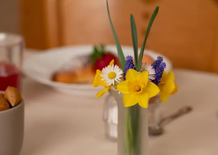 Panorama Appart hôtel Val di Zoldo