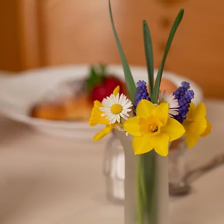 Panorama شقة فندقية فال دي زولدو