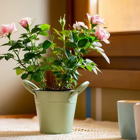 Apart-hotel Panorama