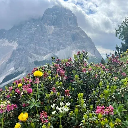 מלון דירות Panorama 4*